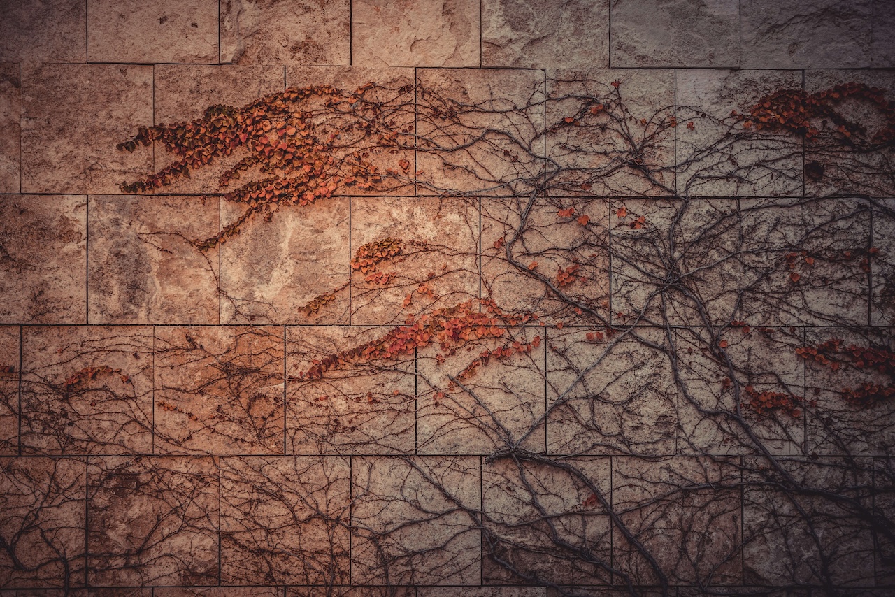 Map visualization of Canadian DAF software landscape