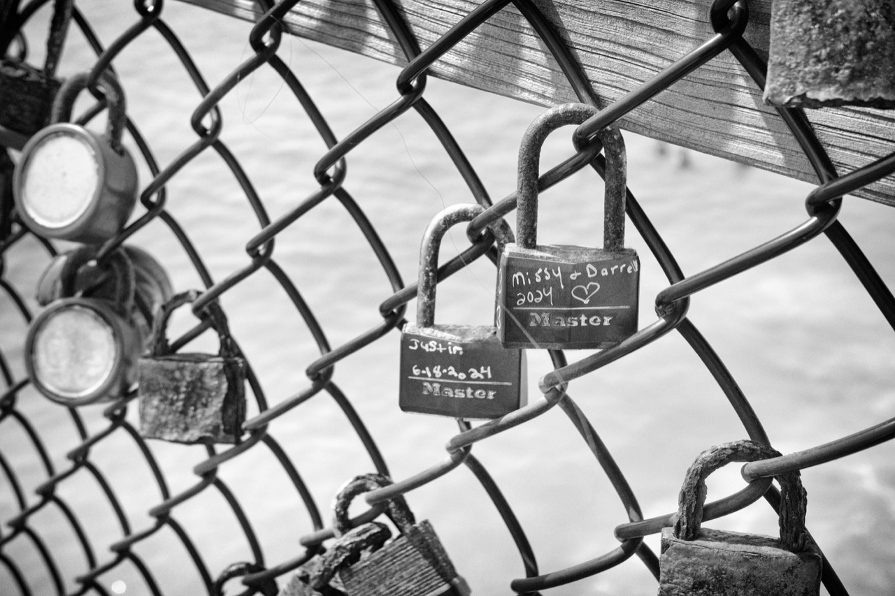 Padlocks with handwritten names and dates clipped to a chain-link fence above the water, in black and white