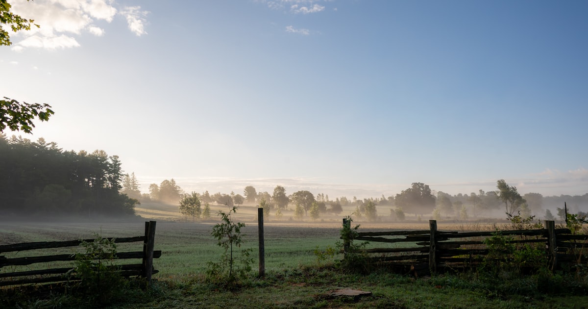 A misty rural field at dawn with a wooden fence line — the philanthropy conversation at first light